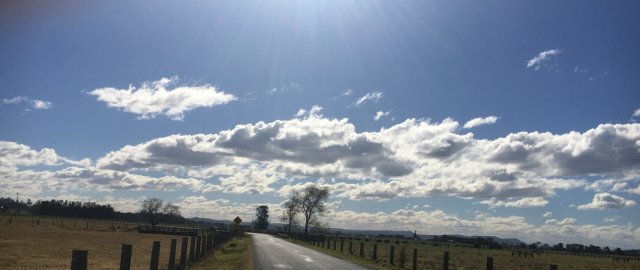 road shot.jpg